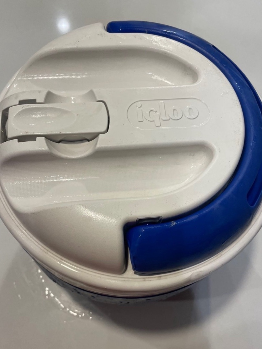 Igloo Blue Drinking Cooler With Handle